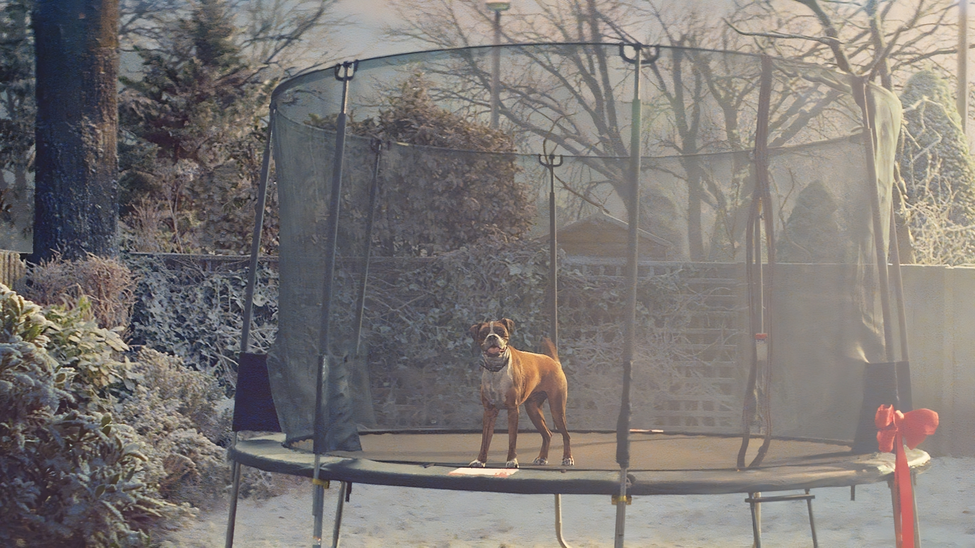 Still from John Lewis Christmas advert Man on the Moon 2015