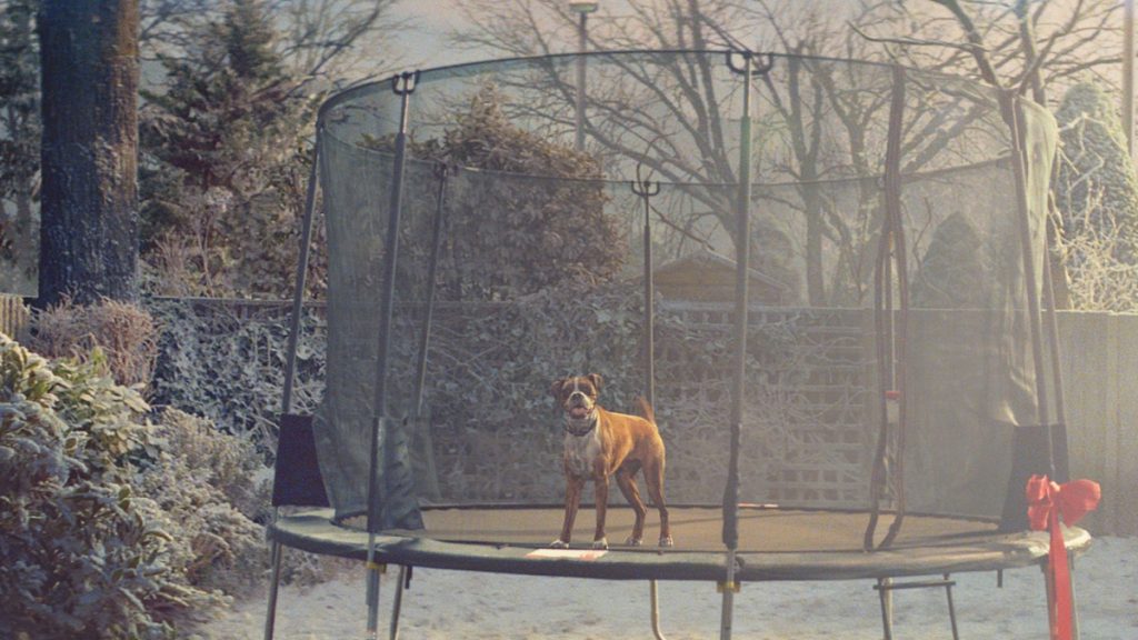 Still from John Lewis Christmas advert 2016 Buster the Boxer